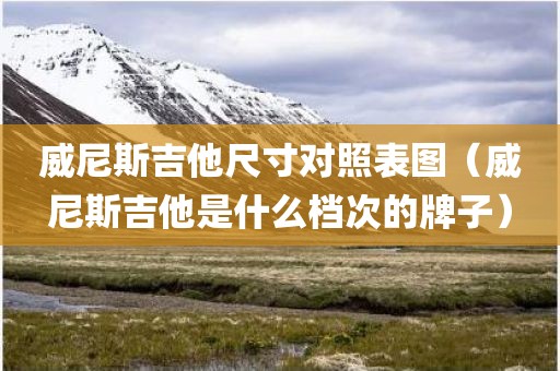 威尼斯吉他尺寸对照表图（威尼斯吉他是什么档次的牌子）