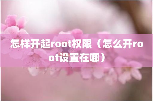 怎样开起root权限（怎么开root设置在哪）