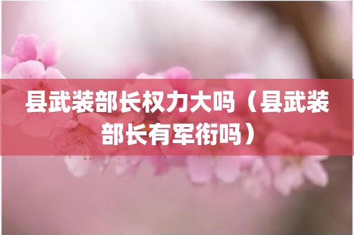 县武装部长权力大吗（县武装部长有军衔吗）