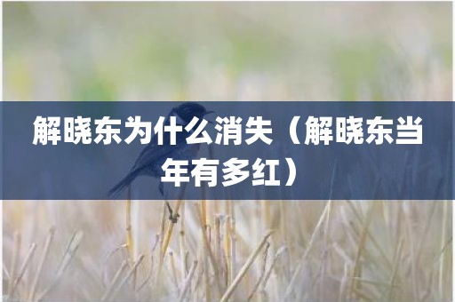 解晓东为什么消失(解晓东当年有多红)