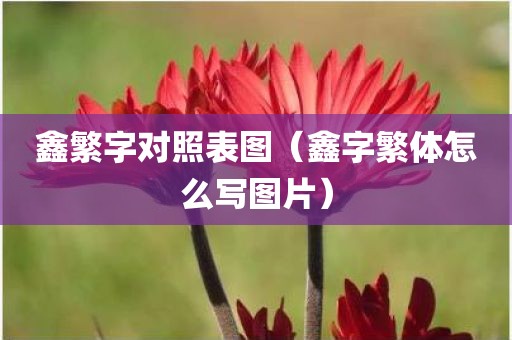鑫繁字对照表图（鑫字繁体怎么写图片）