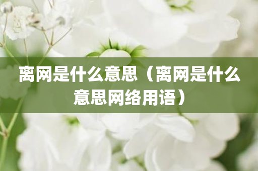 离网是什么意思（离网是什么意思网络用语）