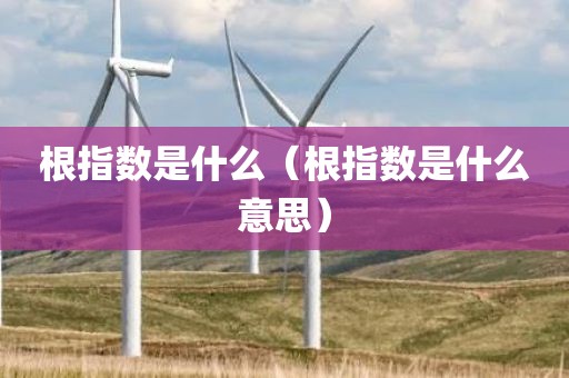 根指数是什么（根指数是什么意思）