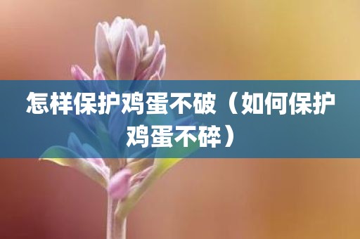 怎样保护鸡蛋不破（如何保护鸡蛋不碎）