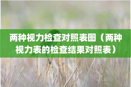 两种视力检查对照表图（两种视力表的检查结果对照表）