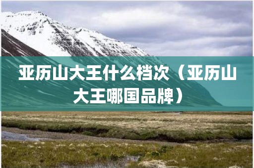 亚历山大王什么档次（亚历山大王哪国品牌）