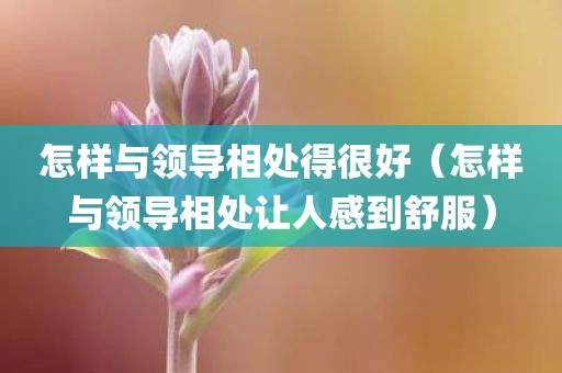 怎样与领导相处得很好（怎样与领导相处让人感到舒服）