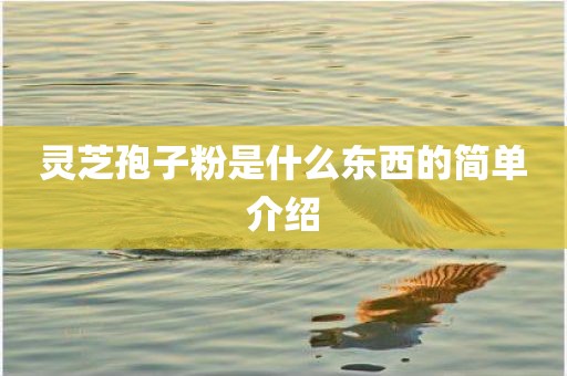灵芝孢子粉是什么东西的简单介绍