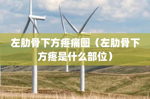 左肋骨下方疼痛图（左肋骨下方疼是什么部位）