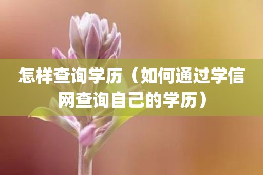怎样查询学历（如何通过学信网查询自己的学历）