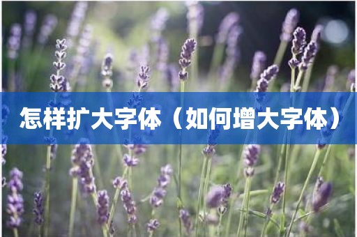 怎样扩大字体（如何增大字体）