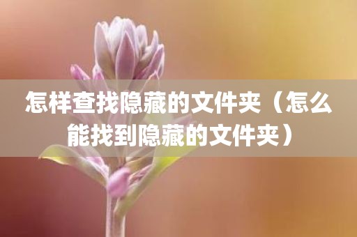 怎样查找隐藏的文件夹（怎么能找到隐藏的文件夹）