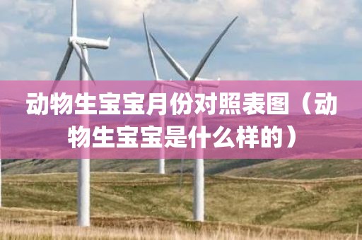 动物生宝宝月份对照表图（动物生宝宝是什么样的）