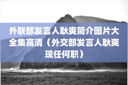 外联部发言人耿爽简介图片大全集高清（外交部发言人耿爽现任何职）