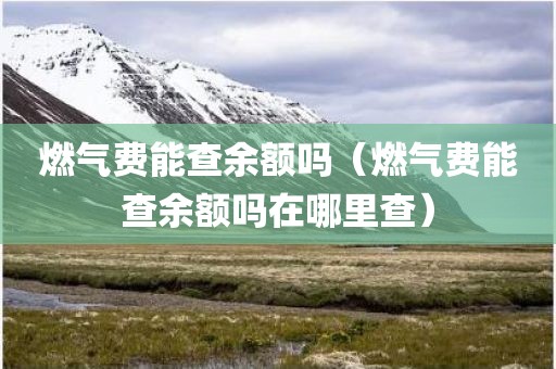 燃气费能查余额吗(燃气费能查余额吗在哪里查) 燃气费能查余额吗(燃气费能查余额吗在哪里查)
