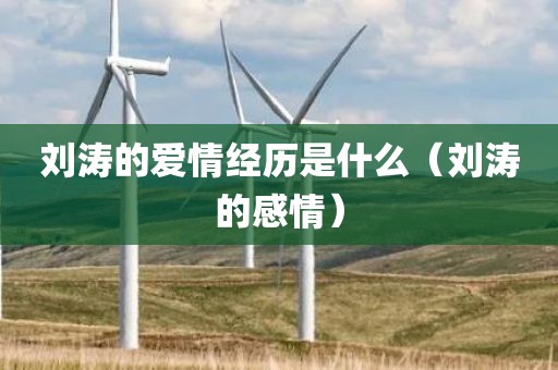 刘涛的爱情经历是什么（刘涛的感情）