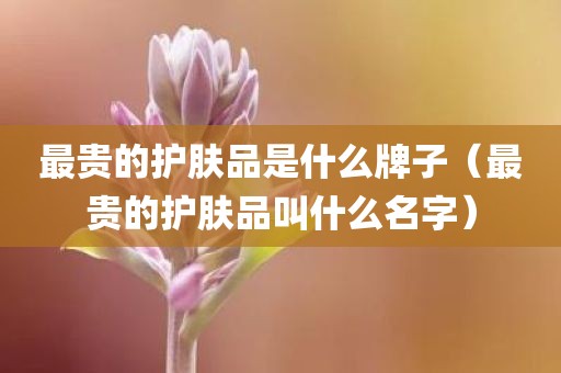 最贵的护肤品是什么牌子（最贵的护肤品叫什么名字）