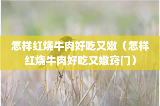 怎样红烧牛肉好吃又嫩（怎样红烧牛肉好吃又嫩窍门）