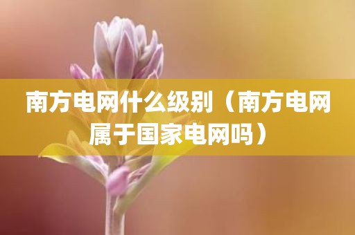 南方电网什么级别（南方电网属于国家电网吗）