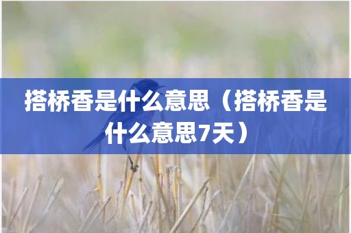 搭桥香是什么意思（搭桥香是什么意思7天）