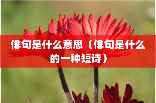 俳句是什么意思（俳句是什么的一种短诗）