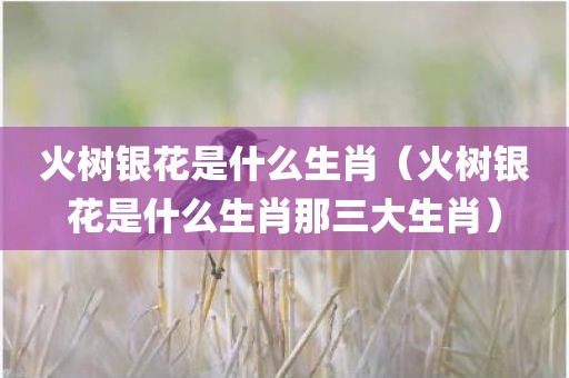 火树银花是什么生肖（火树银花是什么生肖那三大生肖）