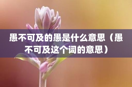 愚不可及的愚是什么意思（愚不可及这个词的意思）