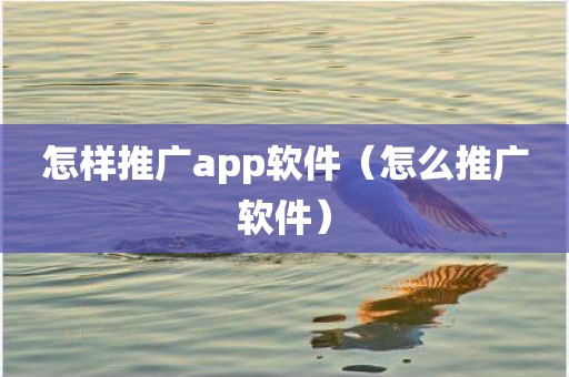 怎样推广app软件（怎么推广软件）