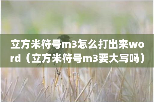 立方米符号m3怎么打出来word（立方米符号m3要大写吗）
