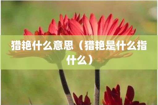 猎艳什么意思（猎艳是什么指什么）