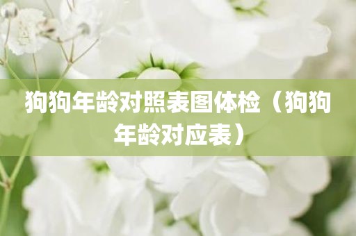 狗狗年龄对照表图体检（狗狗年龄对应表）