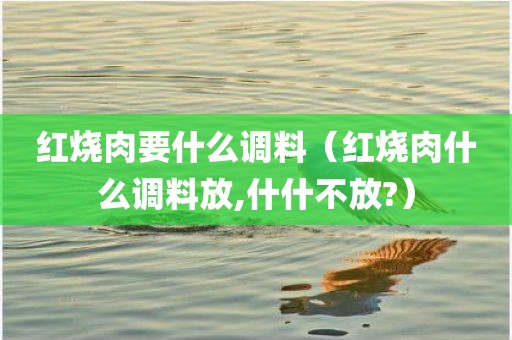 红烧肉要什么调料（红烧肉什么调料放,什什不放?）