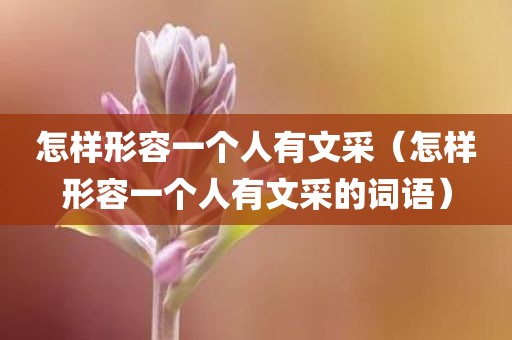 怎样形容一个人有文采（怎样形容一个人有文采的词语）