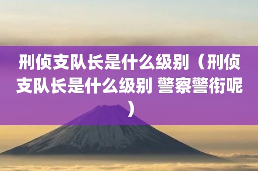 刑侦支队长是什么级别（刑侦支队长是什么级别 警察警衔呢）