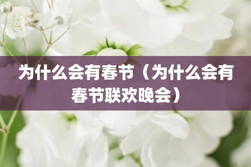 为什么会有春节（为什么会有春节联欢晚会）