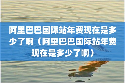 阿里巴巴国际站年费现在是多少了啊（阿里巴巴国际站年费现在是多少了啊）