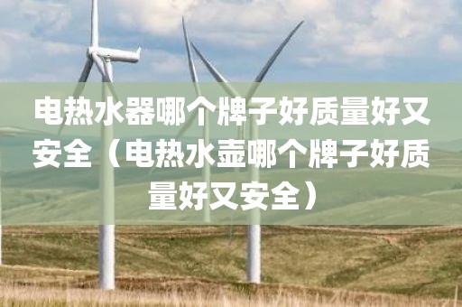 电热水器哪个牌子好质量好又安全（电热水壶哪个牌子好质量好又安全）