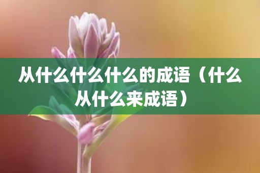 从什么什么什么的成语（什么从什么来成语）