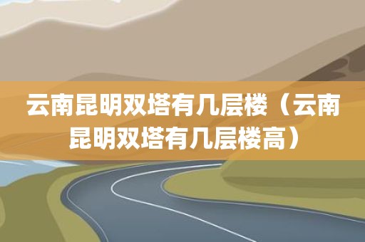 云南昆明双塔有几层楼（云南昆明双塔有几层楼高）
