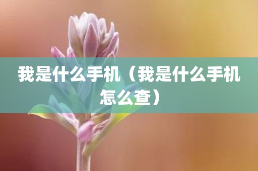 我是什么手机（我是什么手机怎么查）