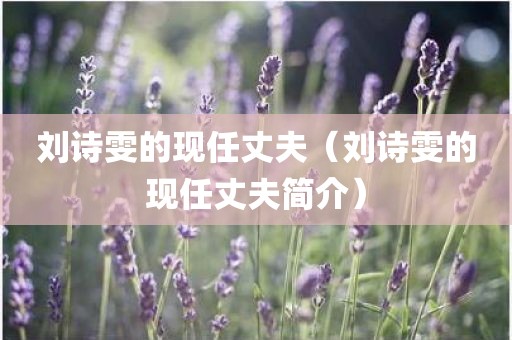 刘诗雯的现任丈夫（刘诗雯的现任丈夫简介）