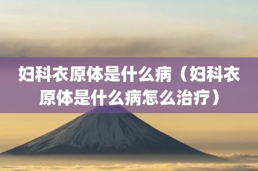 妇科衣原体是什么病（妇科衣原体是什么病怎么治疗）