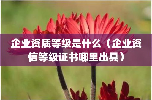 企业资质等级是什么（企业资信等级证书哪里出具）