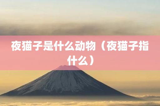 夜猫子是什么动物（夜猫子指什么）