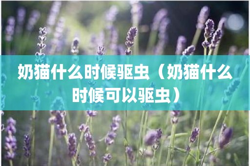 奶猫什么时候驱虫（奶猫什么时候可以驱虫）
