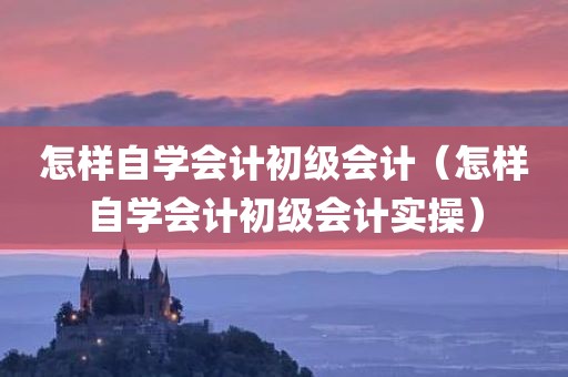 怎样自学会计初级会计（怎样自学会计初级会计实操）