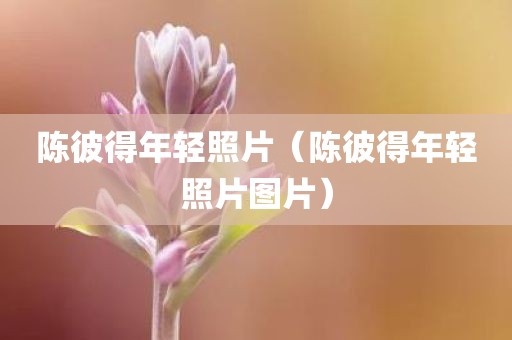 陈彼得年轻照片（陈彼得年轻照片图片）