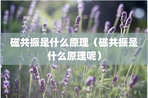磁共振是什么原理（磁共振是什么原理呢）