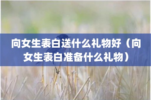 向女生表白送什么礼物好（向女生表白准备什么礼物）