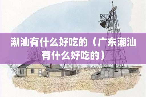 潮汕有什么好吃的（广东潮汕有什么好吃的）